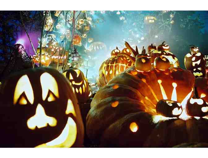 Jack-O-Lantern Spectacular VIP Admission for 8 with Parking (I)