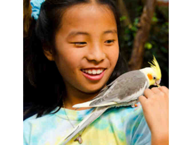 Naming Rights to Birds of the Outback Exhibit