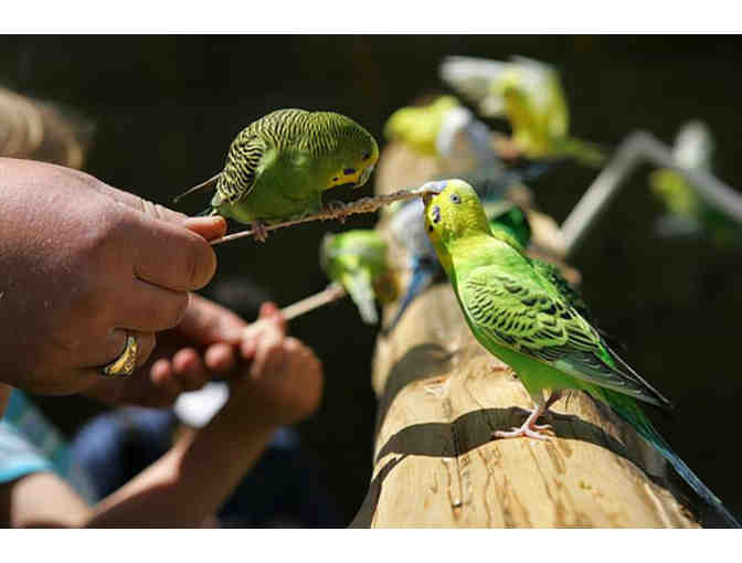 Naming Rights to Birds of the Outback Exhibit