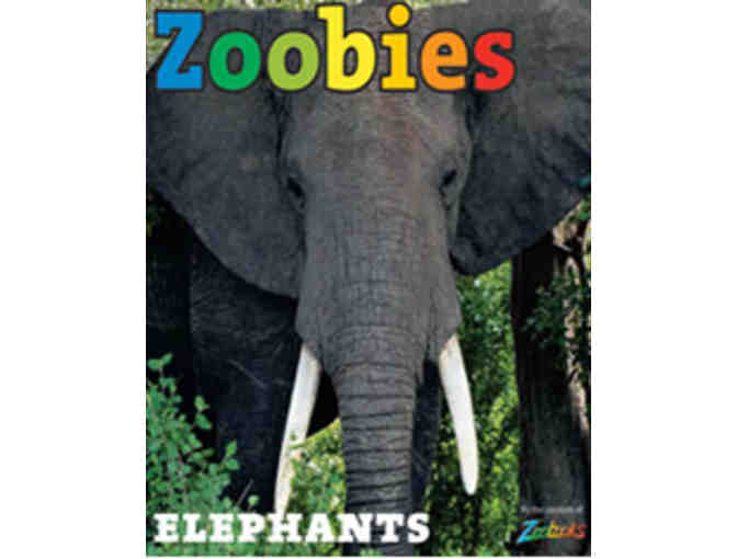 A One-Year Subscription to Zoobooks & Anteater Plush