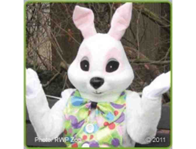 Visit with the Easter Bunny at the Carousel Village - Family Pass (II)