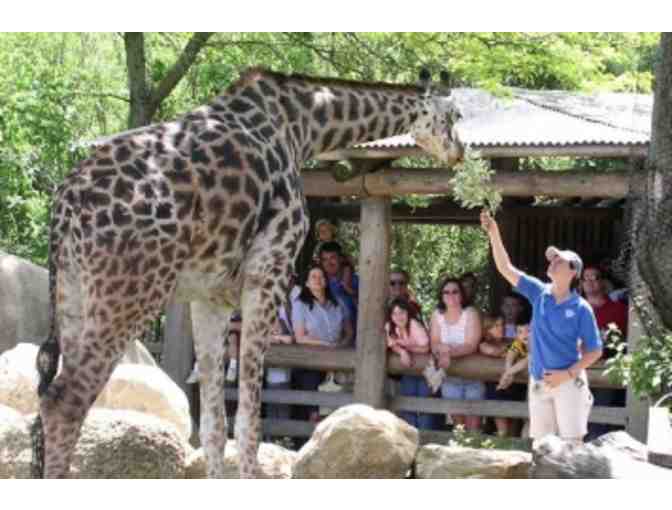 Zoo Lover's Excursion! (I)