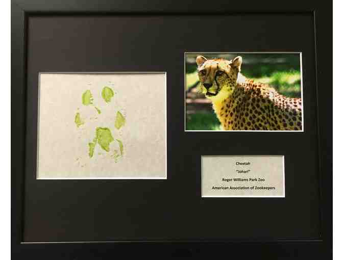 Cheetah Original Artwork - Photo 2