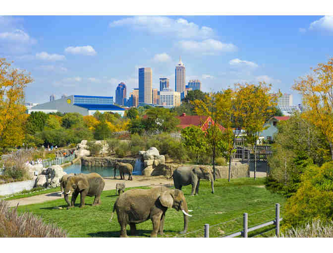 A Family 4-Pack of Tickets to the Denver Zoo