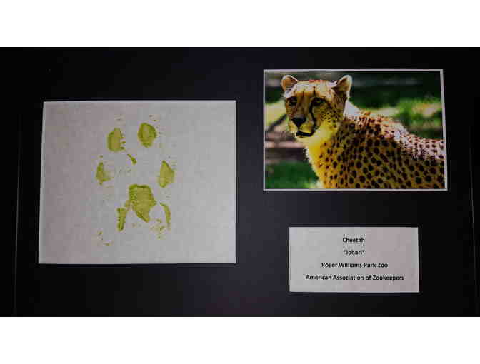 Cheetah Original Artwork - Photo 1