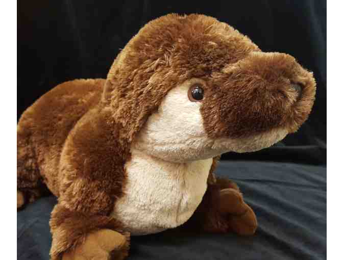 Celebrate the Baby River Otters (4 Zoo Passes and a Plush) - Photo 1