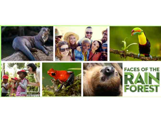 A Behind the Scenes VIP Tour of the all new Faces of the Rainforest Exhibit