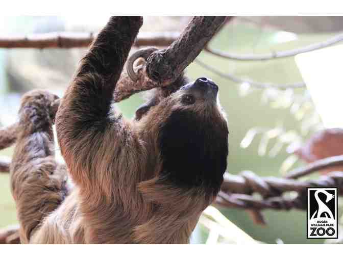 A Behind the Scenes VIP Sloth Encounter at Roger Williams Park Zoo - Photo 1