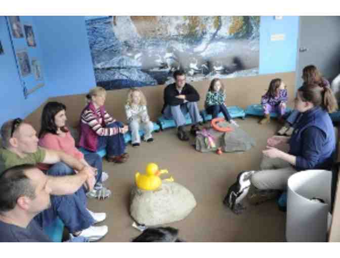 Penguin Encounter at Mystic Aquarium for 4 People