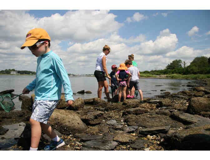 Bird Lovers Package - Audubon RI Membership & Bird Feeder