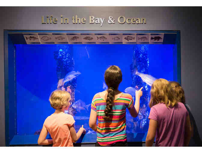 Bird Lovers Package - Audubon RI Membership & Bird Feeder