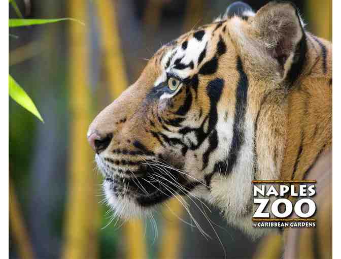 A Behind the Scenes VIP Tour of Naples Zoo at Caribbean Gardens