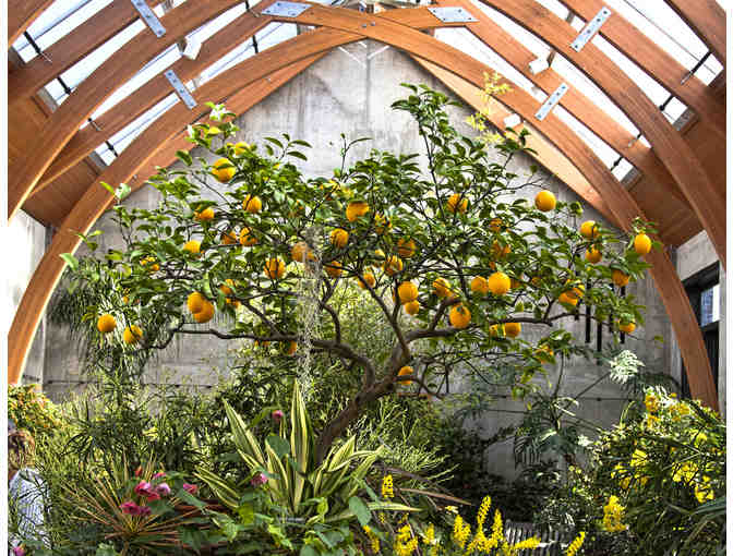 One Year Membership to Tower Hill Botanic Park