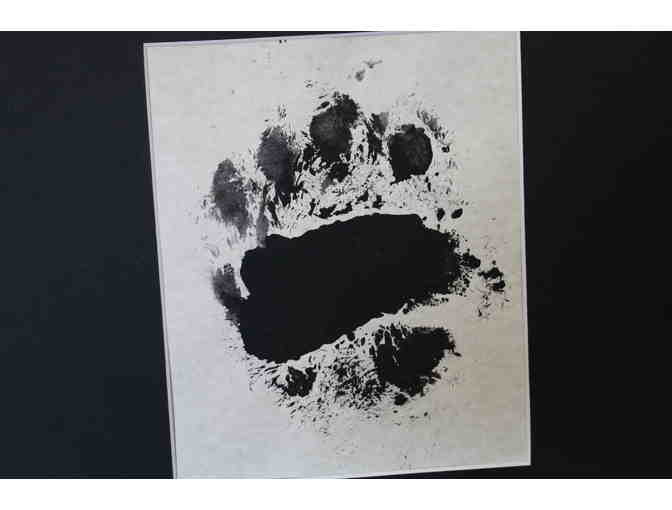 Moon Bear Original Artwork