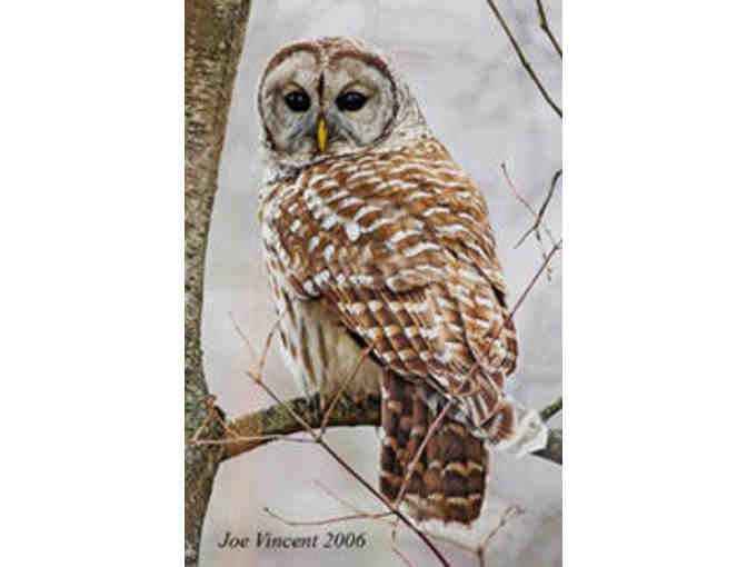 Massachusetts Audubon Membership - Photo 1