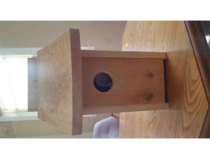 Massachusetts Audubon Membership