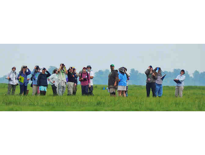 Massachusetts Audubon Membership