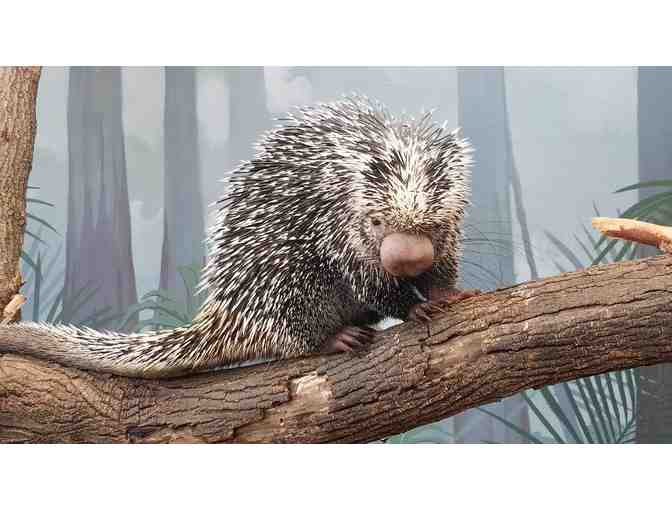 A Behind the Scenes Experience Working with RWPZoo's Ambassador Animal Care Staff