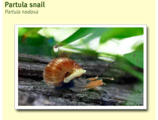 A Behind the Scenes VIP Critter Encounter at RWPZoo