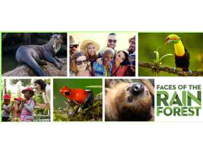 A Behind the Scenes VIP Tour of the Faces of the Rainforest Exhibit