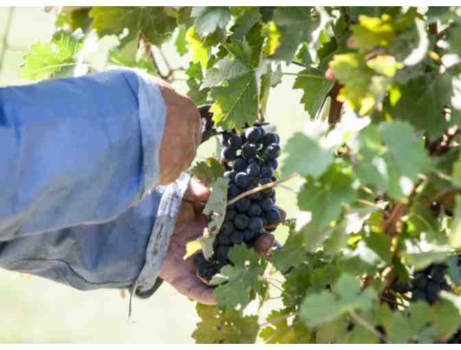 Tasting at Newport Vineyards