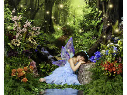 Magical Fairytale Photo Experience