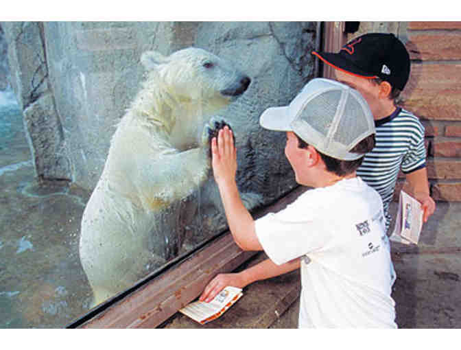 A Family 4-Pack of Tickets to the Denver Zoo