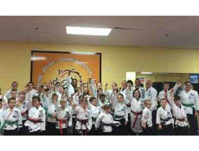 Mastery of Martial Arts 6-week Summer Course for your Child (II)