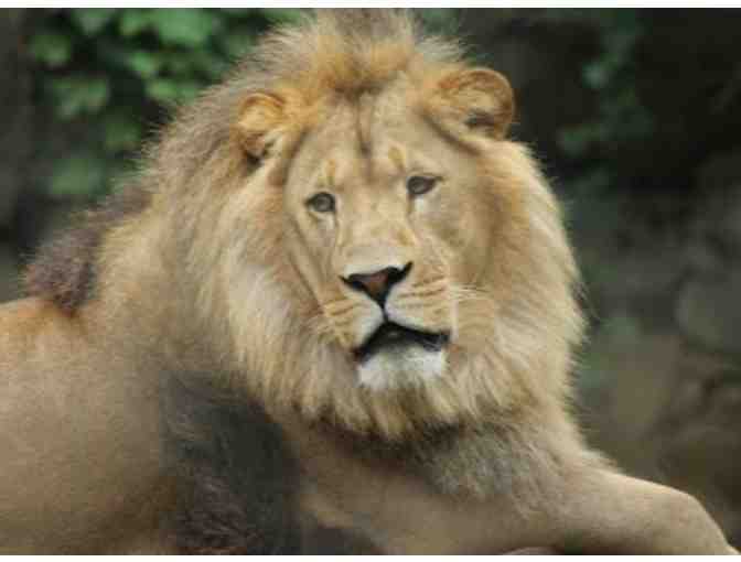 A Day at Southwick's Zoo