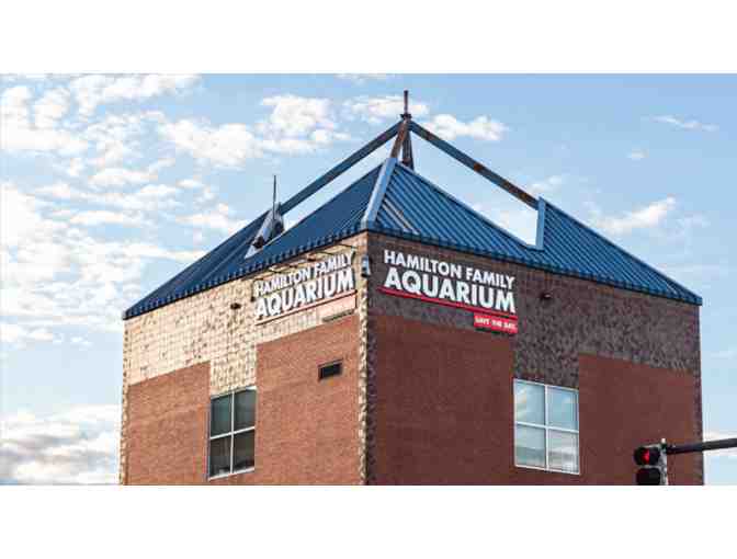 Save The Bay's Hamilton Family Aquarium Gift Package - Photo 5
