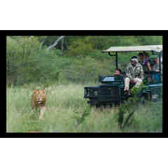 Ezulwini Lodges and the Saad Family