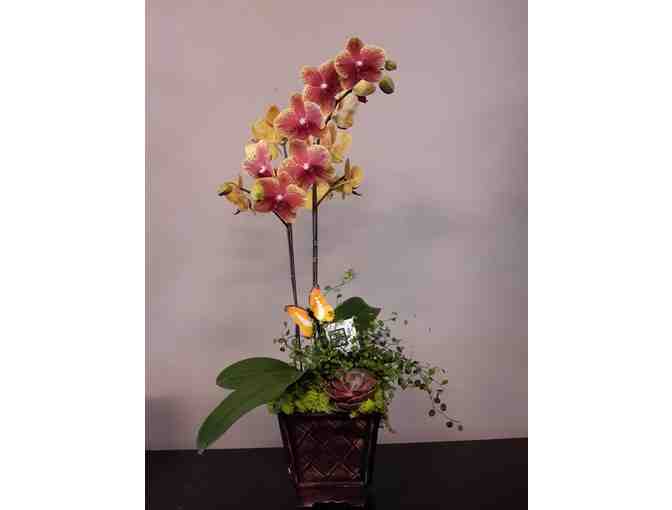 Floral  Arrangement from Mary Falkingham Floral Designs ($50 gift certificate)