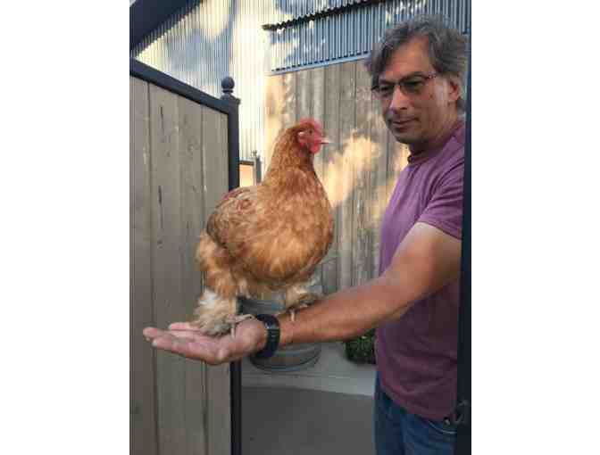 Lodi, CA - Prie Winery - Wine Tasting for Four  #2 of 5