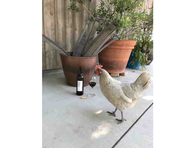 Lodi, CA - Prie Winery - Wine Tasting for Four #3 of 5