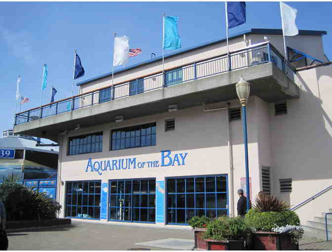 San Francisco, CA - Aquarium of the Bay - Four Tickets #1 of 4