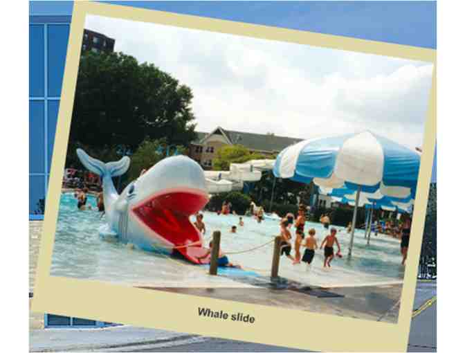 5 Passes for the St. Louis Park Outdoor Aquatic Park