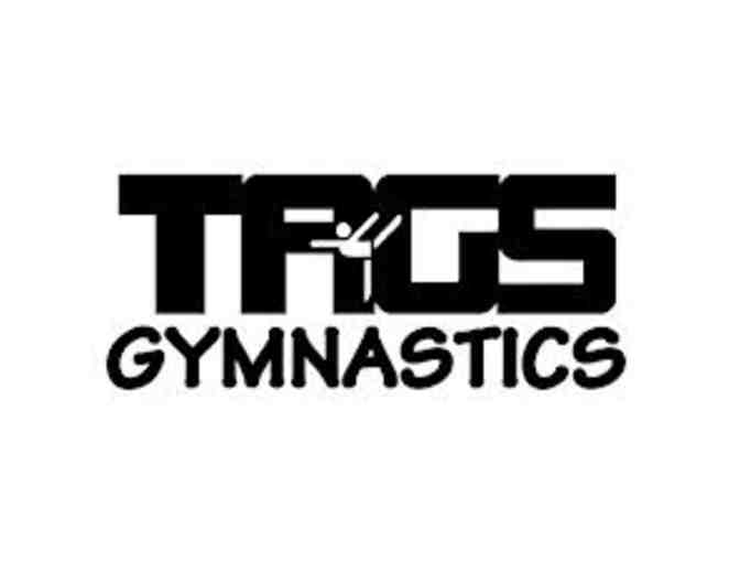 One Nine-Week Summer Session of Gymnastics