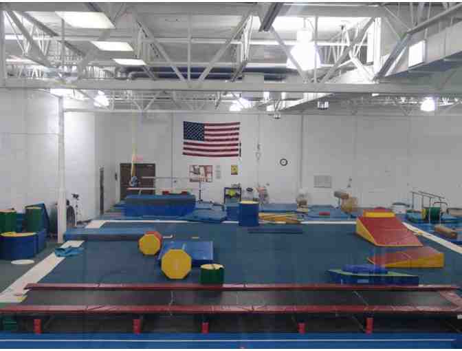 One Nine-Week Summer Session of Gymnastics