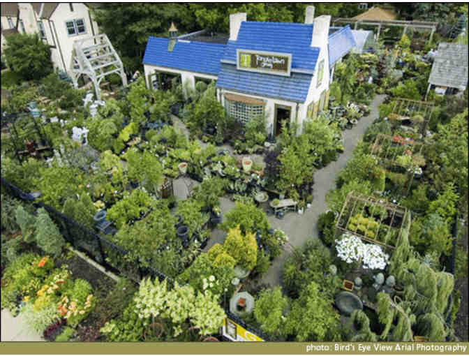 Tangletown Gardens package with $20 gift certificate