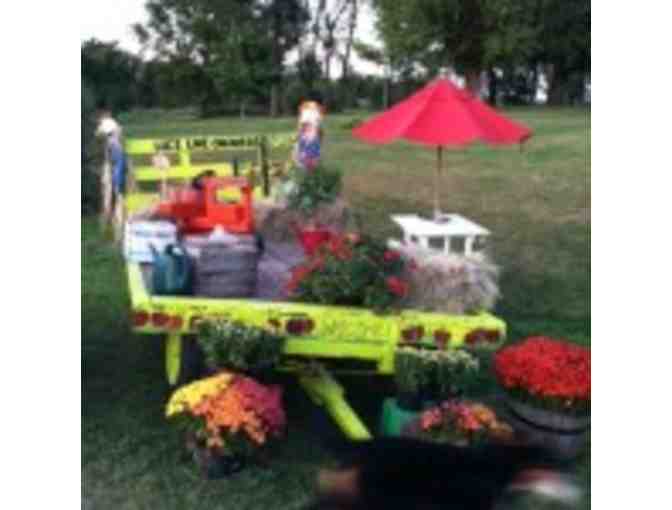 Hayride and Corn Maze for 4 People & Peck of Apples at LuceLine Orchard
