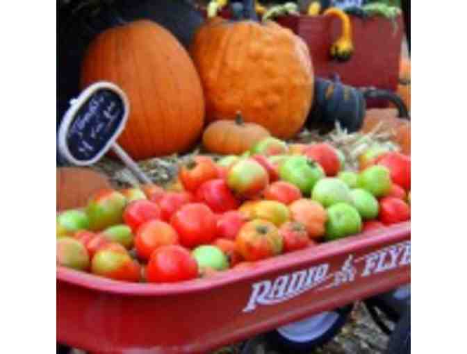 Hayride and Corn Maze for 4 People & Peck of Apples at LuceLine Orchard