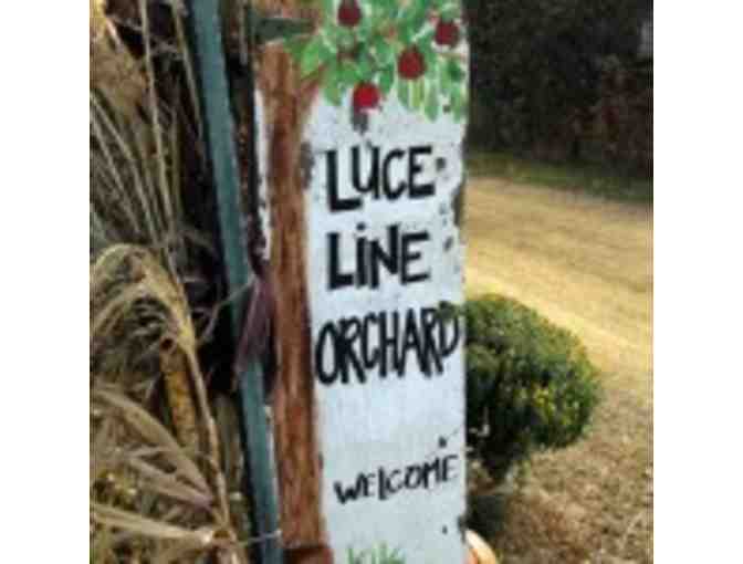 Hayride and Corn Maze for 4 People & Peck of Apples at LuceLine Orchard