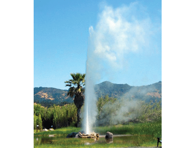 Family Pass to Old Faithful Geyser of California