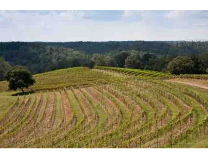 Tour and Tasting at Le Vigne Winery for Eight