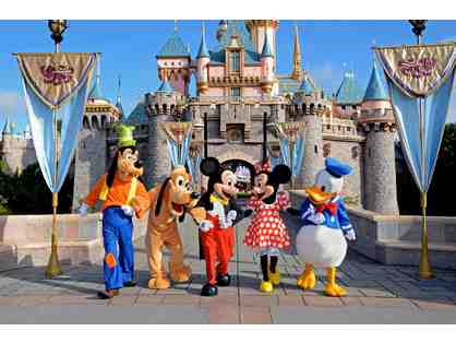 Four 1-Day Park Hopper Passes to Disneyland Park and Disney's California Adventure Park