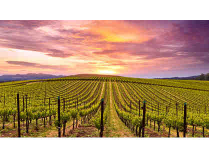 3-Night Private Home Stay in Napa Valley with Chauffeured Wine Country Tour for Four