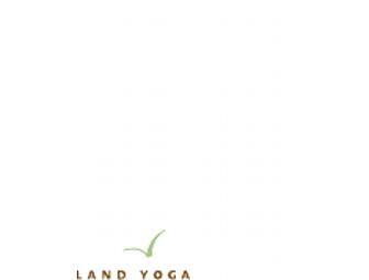 One hour private with Authorized Ashtanga teacher Lara 'Land' Lauchheimer