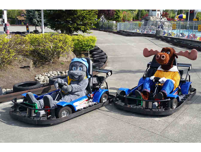 Family Fun or for One!