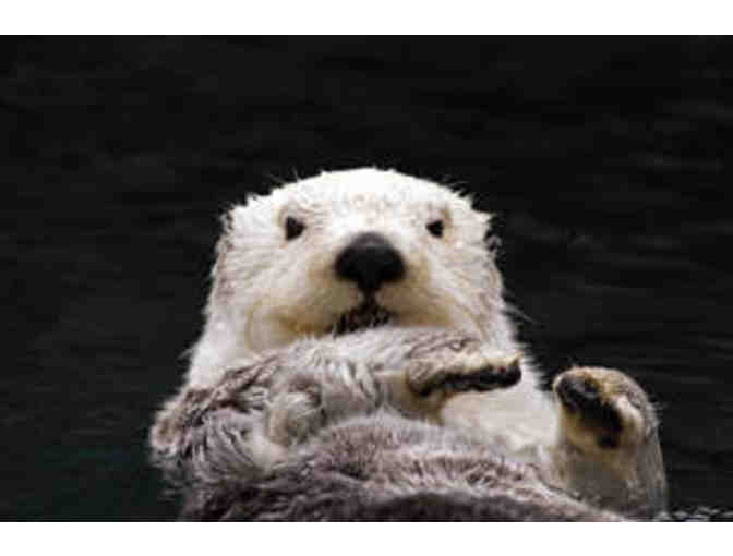 Point Defiance Zoo & Aquarium