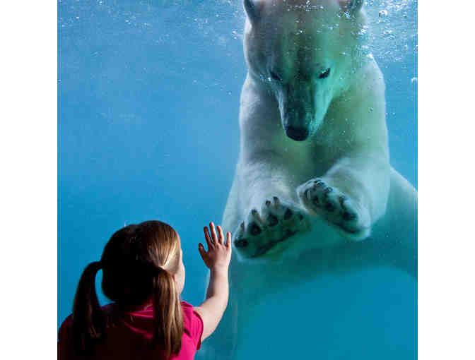 Point Defiance Zoo & Aquarium